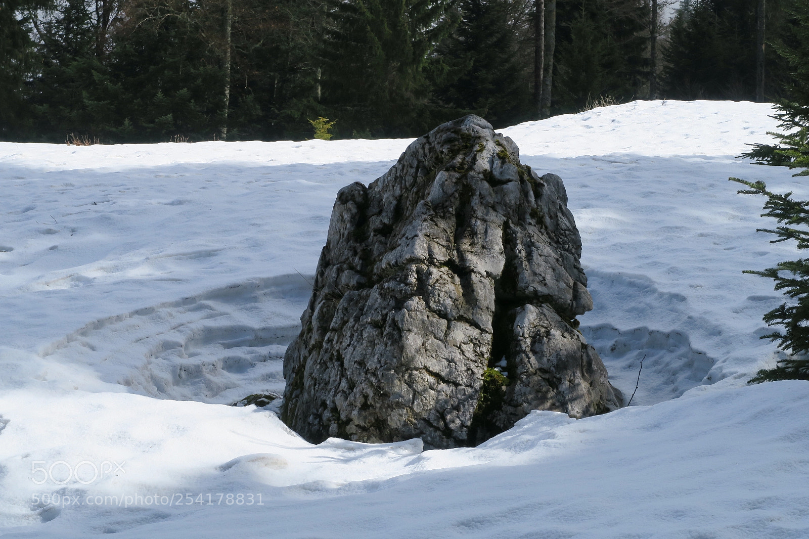 Canon PowerShot G5 X sample photo. Rock in snow photography