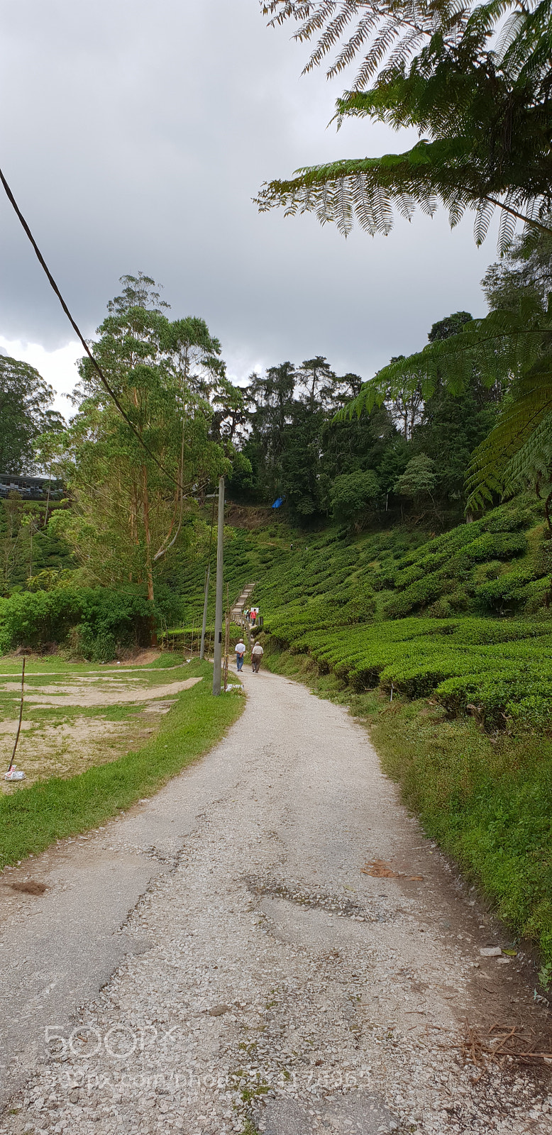 Samsung Galaxy S9+ sample photo. Journey photography