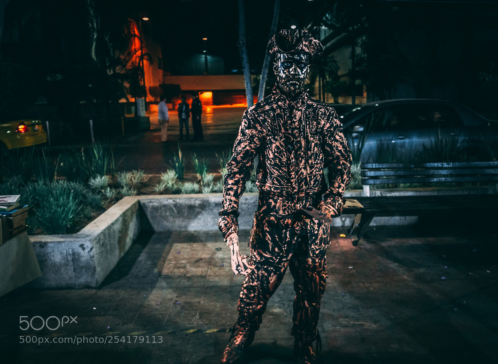 Sony a6000 sample photo. Hypnotised photography