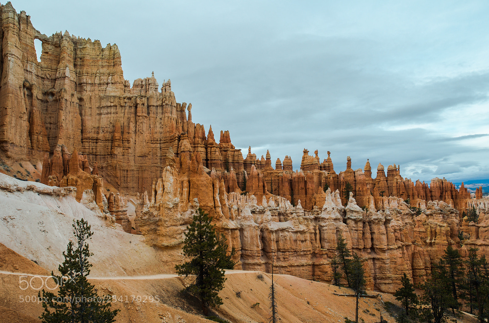 Nikon D7000 sample photo. Bryce canyon cathedral photography