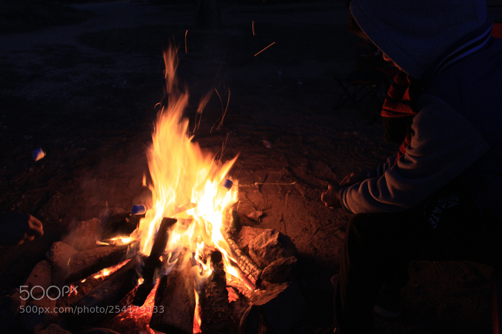 Canon EOS 50D sample photo. Untitled photography