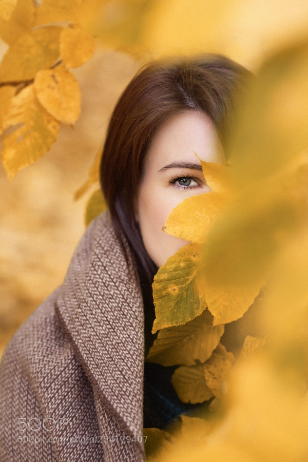 Canon EOS 5D Mark II sample photo. Untitled photography