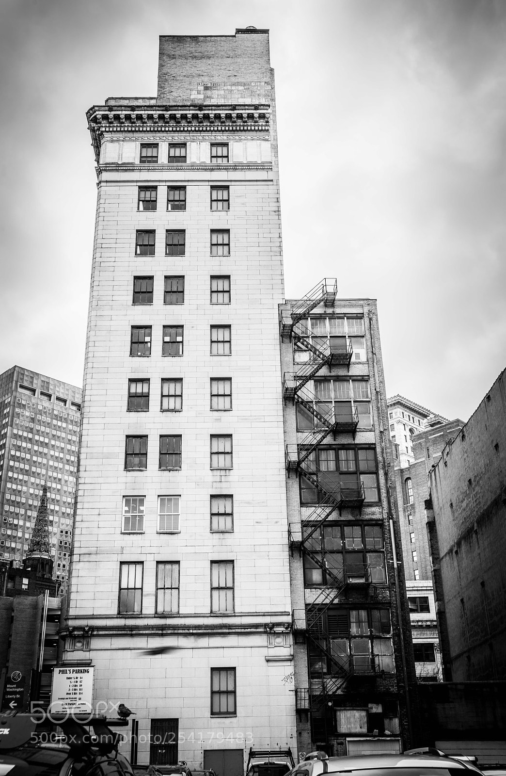 Nikon D810 sample photo. Big and small photography