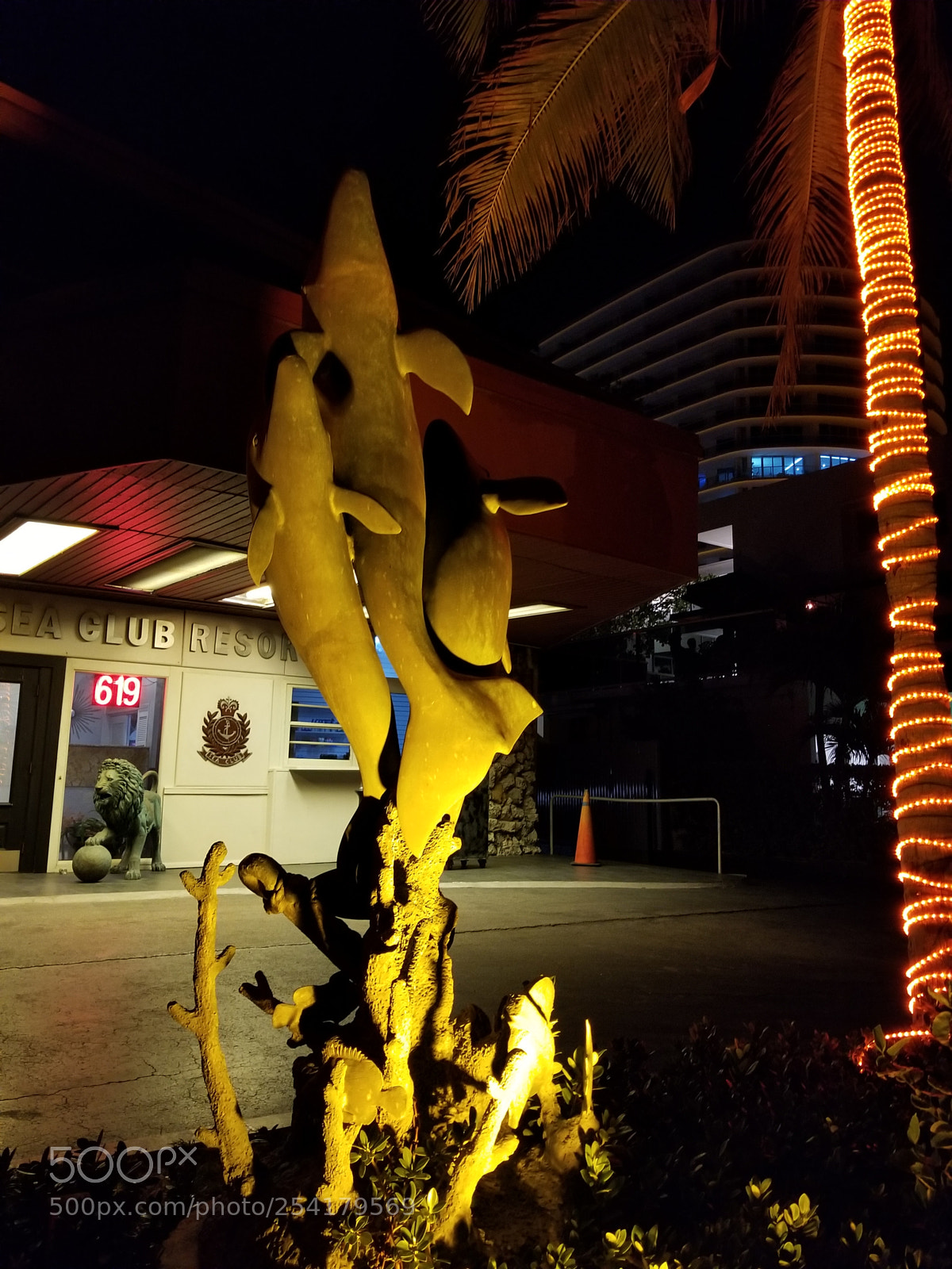 Samsung Galaxy S8 sample photo. Untitled photography