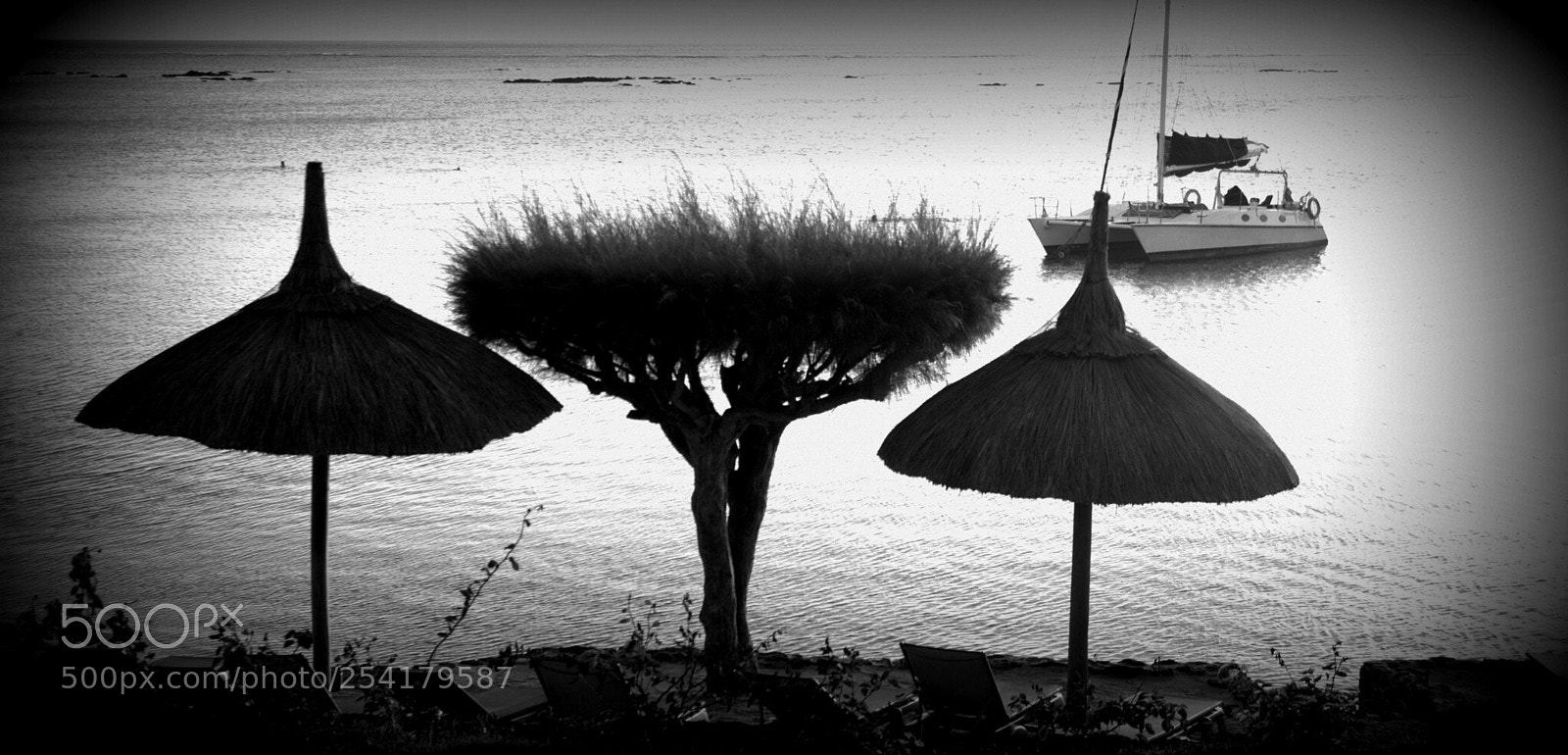 Canon EOS 600D (Rebel EOS T3i / EOS Kiss X5) sample photo. Inverted umbrella  photography