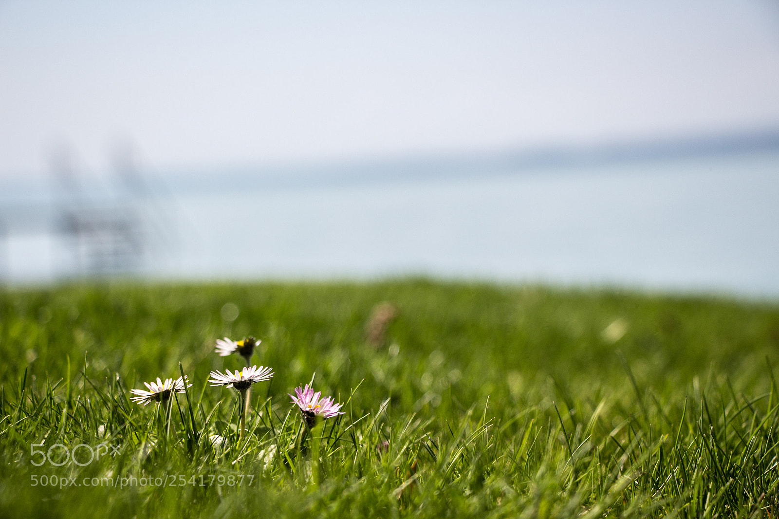 Canon EOS 700D (EOS Rebel T5i / EOS Kiss X7i) sample photo. Img photography