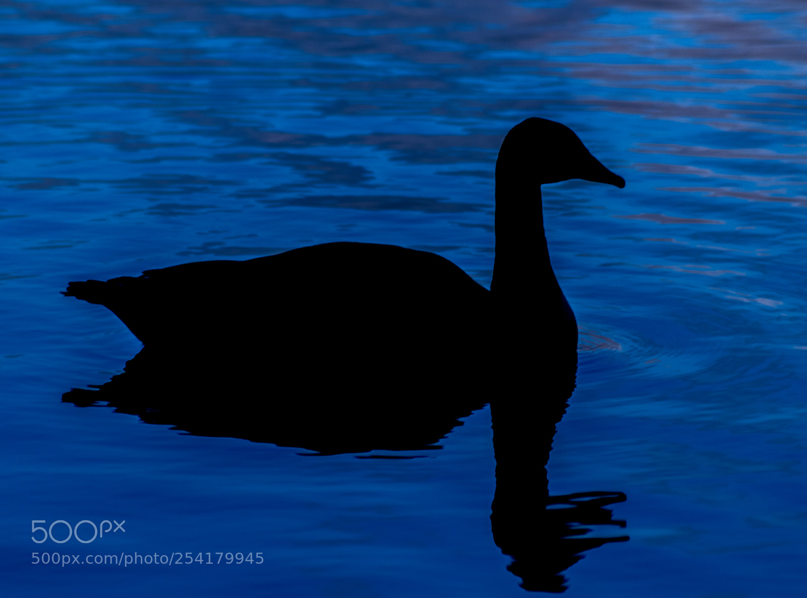 Nikon D3300 sample photo. Silhouette at dusk photography