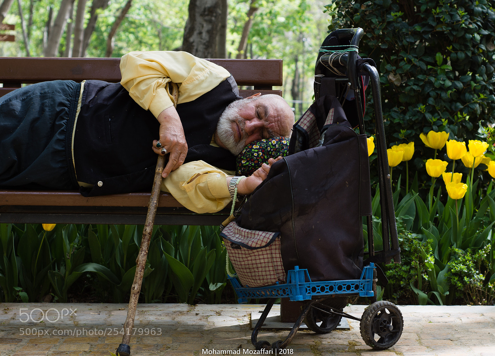 Nikon D7200 sample photo. Sleep photography