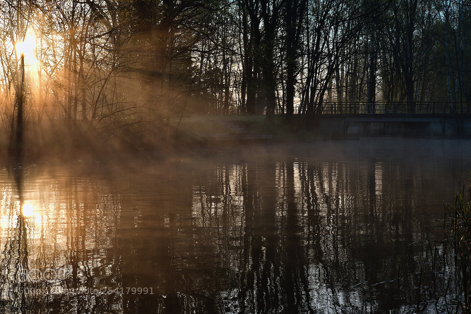 Fujifilm X-T10 sample photo. Catching the sun photography