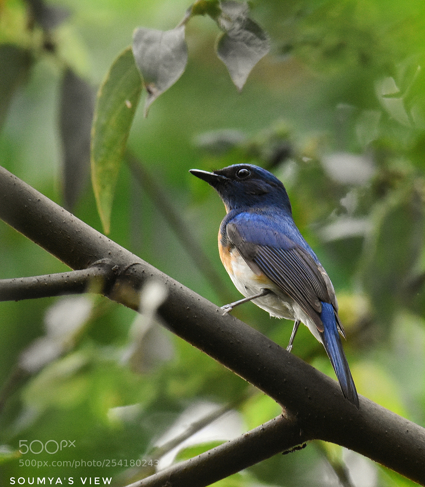Nikon D7200 sample photo. A lifer photography