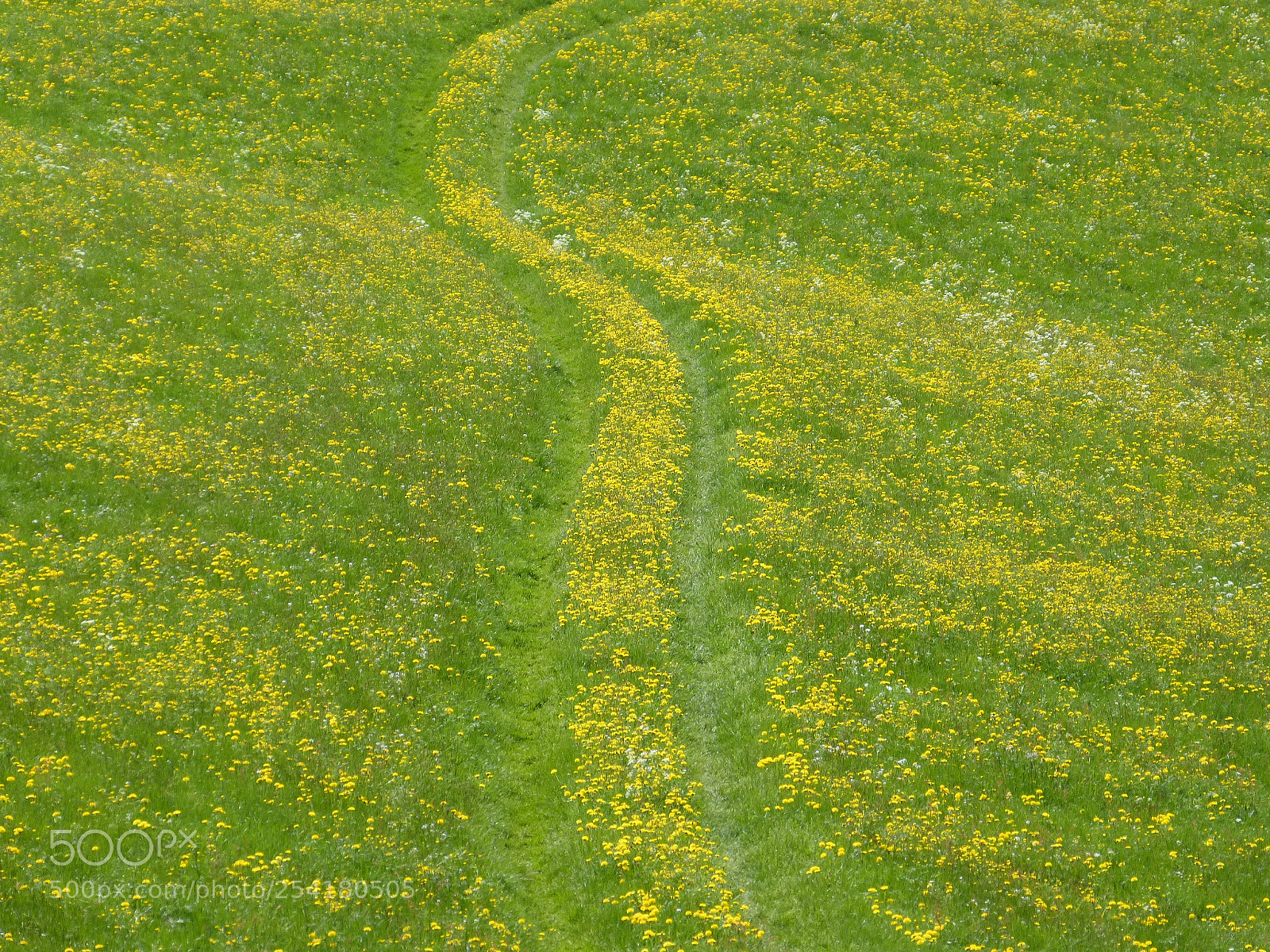 Panasonic DMC-FZ62 sample photo. Hiking in spring photography