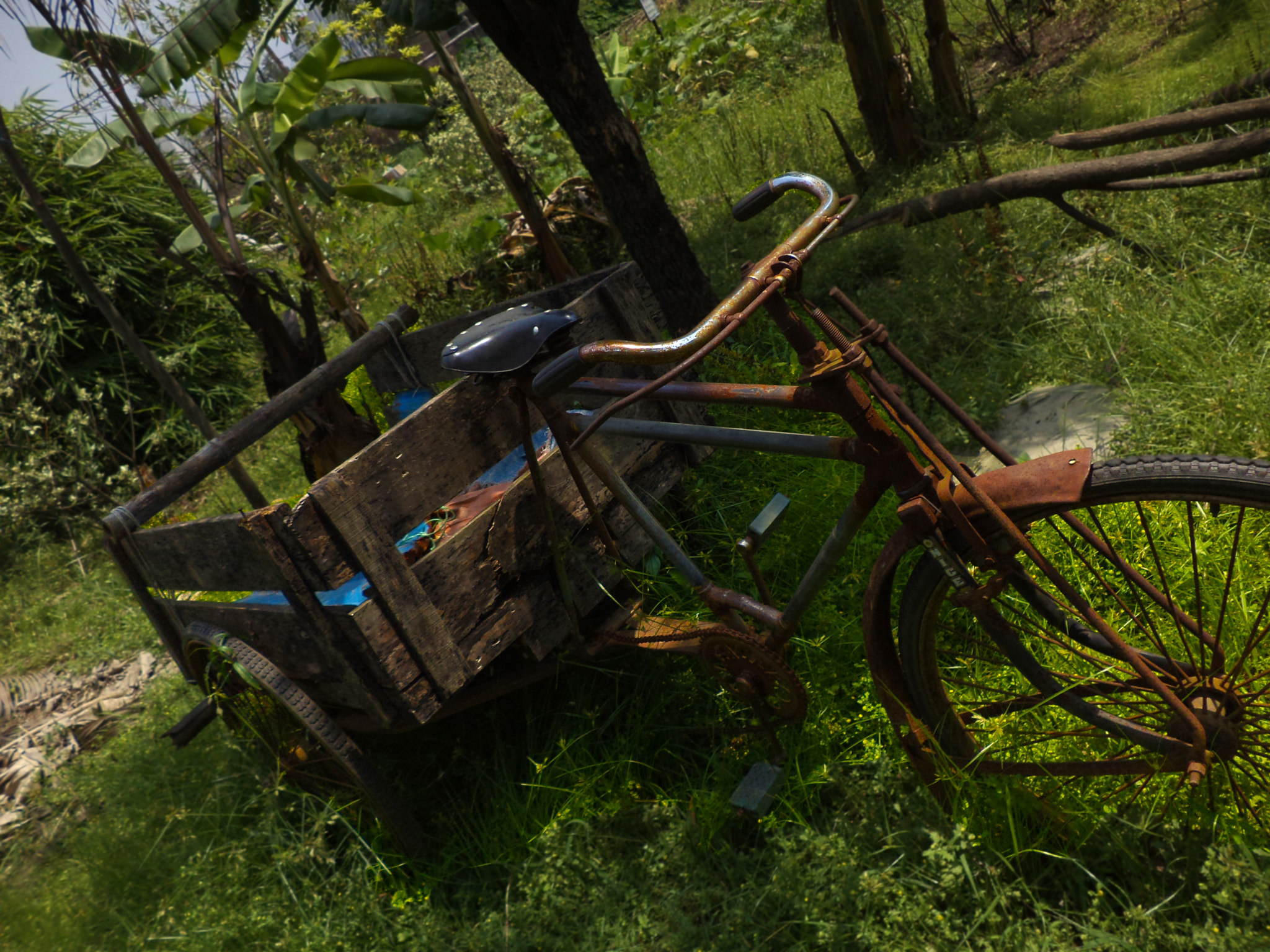 Sony DSC-W620 sample photo. An abandoned tricycle photography