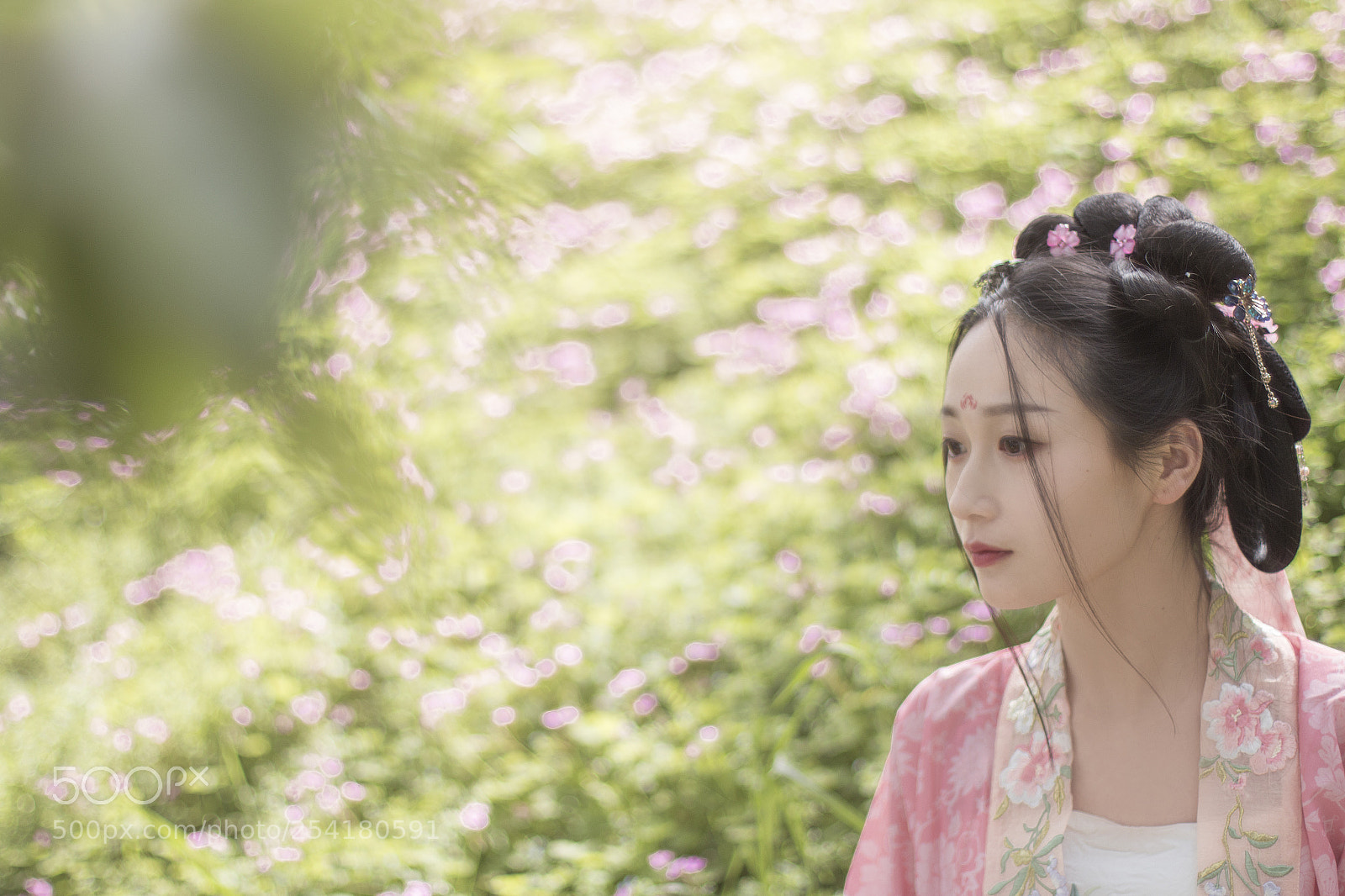 Canon EOS 70D sample photo. Untitled photography