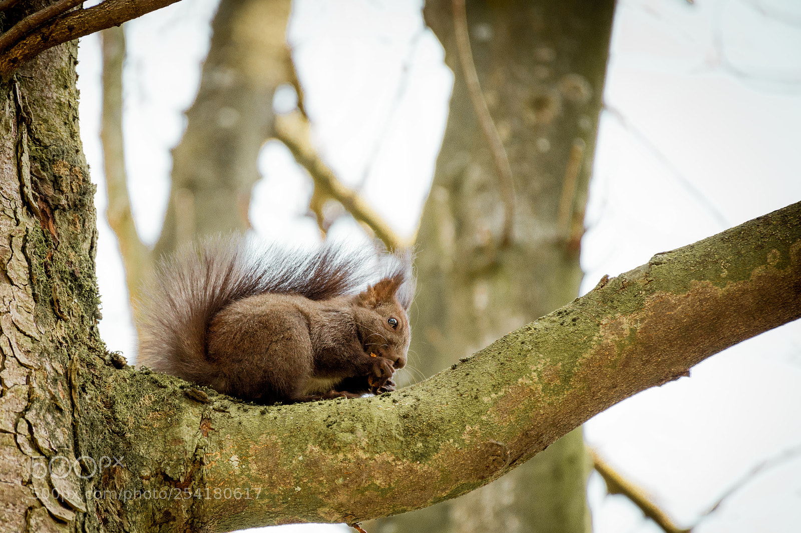 Nikon D7200 sample photo. Lunch time 2 photography