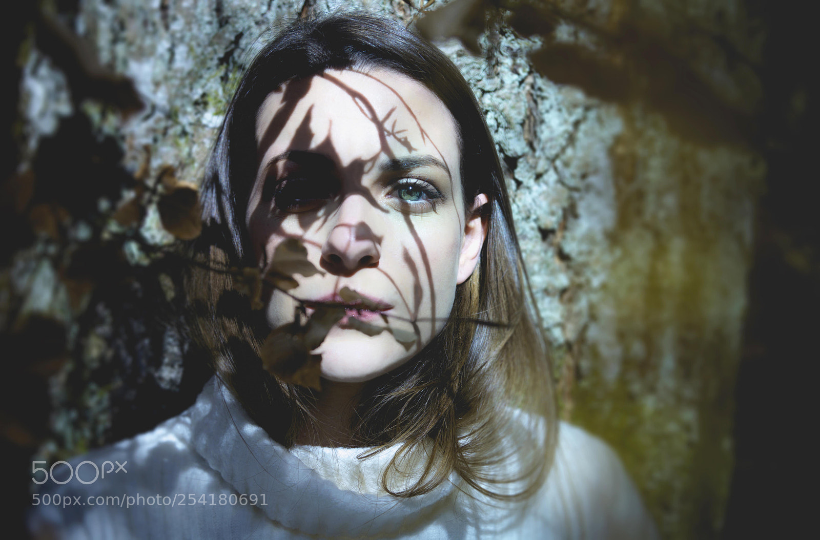 Nikon D7100 sample photo. C a photography