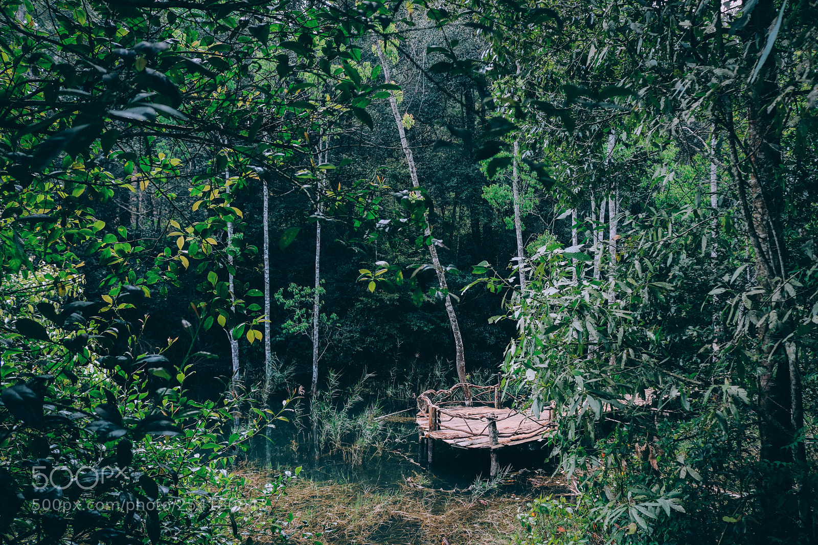 Canon EOS 750D (EOS Rebel T6i / EOS Kiss X8i) sample photo. Da lat (viet nam) photography