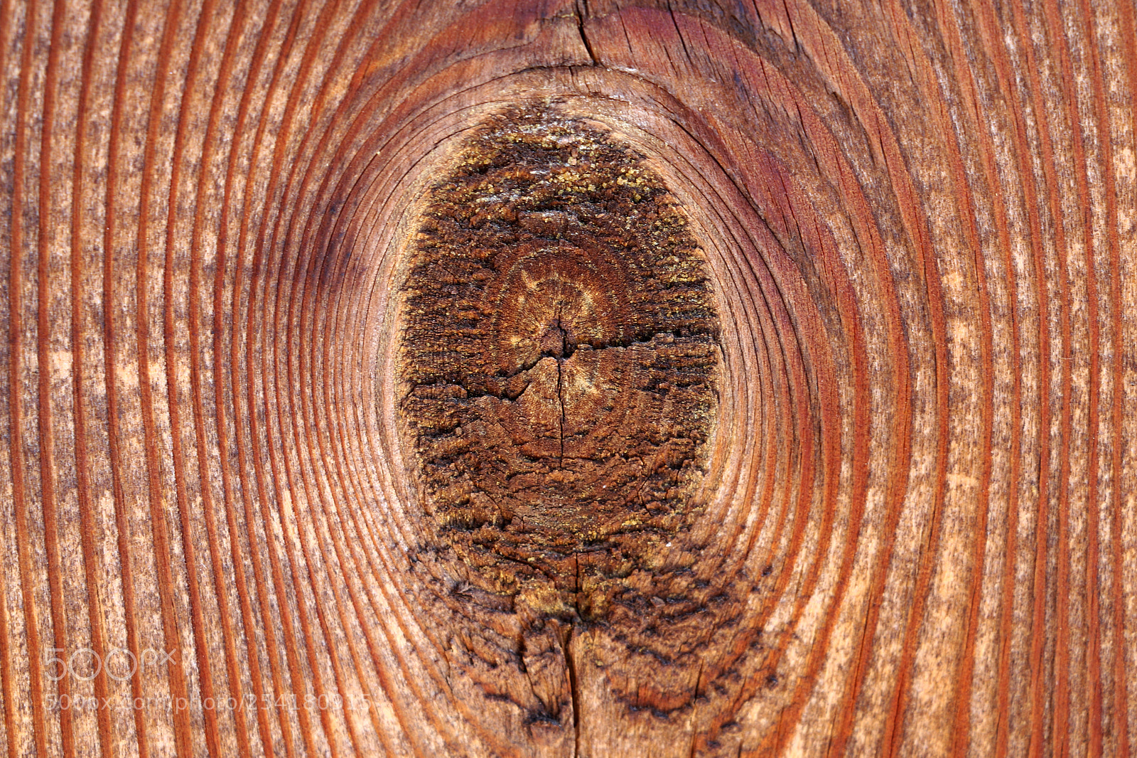 Canon EOS 750D (EOS Rebel T6i / EOS Kiss X8i) sample photo. Old weathered cracked knotty photography