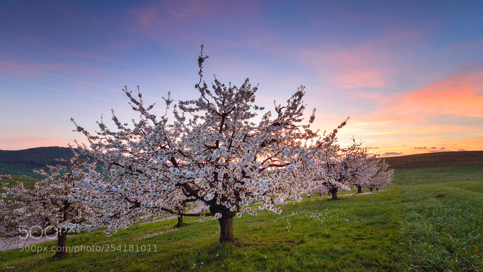 Nikon D7100 sample photo. Arisdorf am abend photography