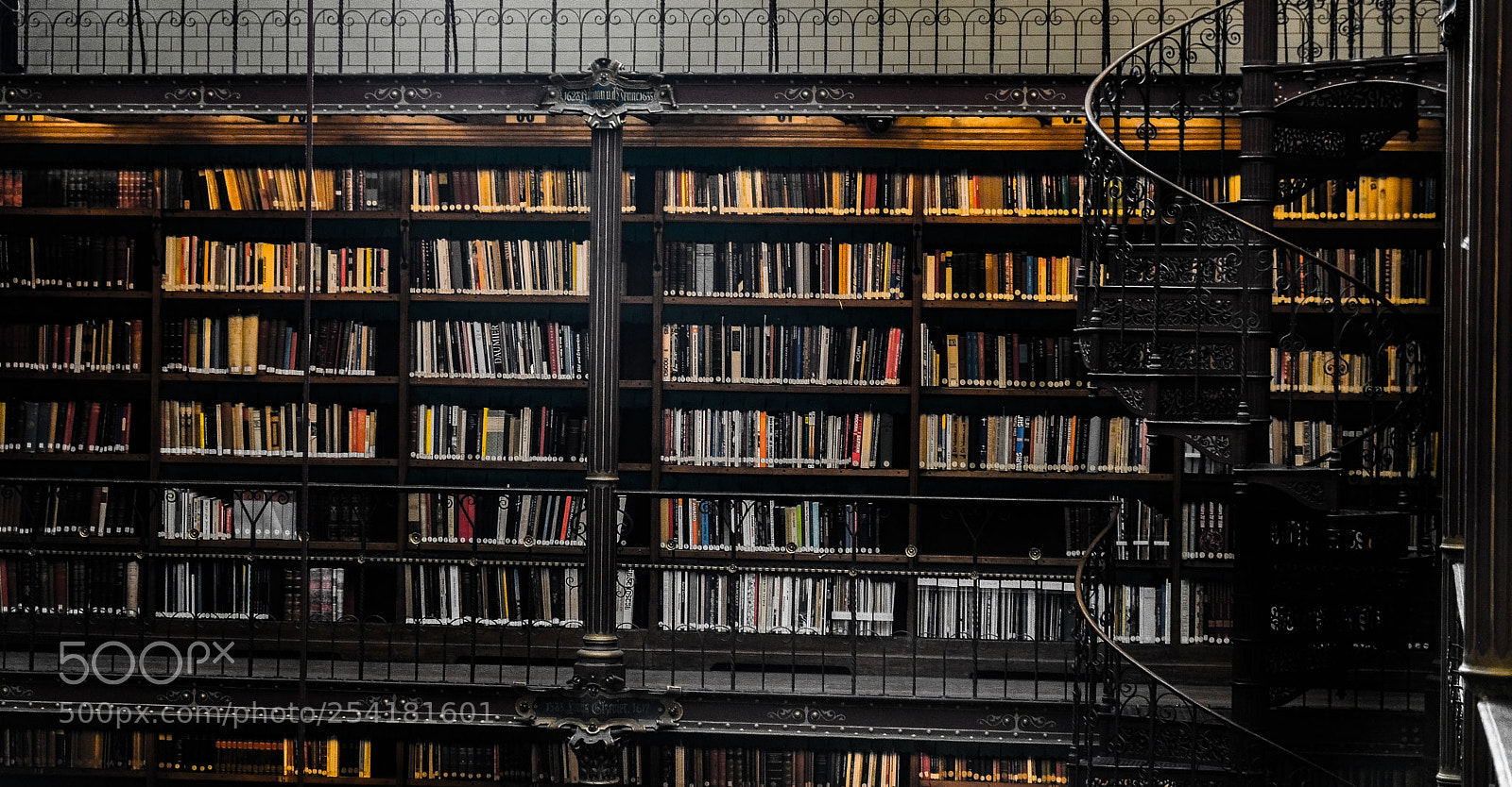Fujifilm X-T20 sample photo. Bookstore photography