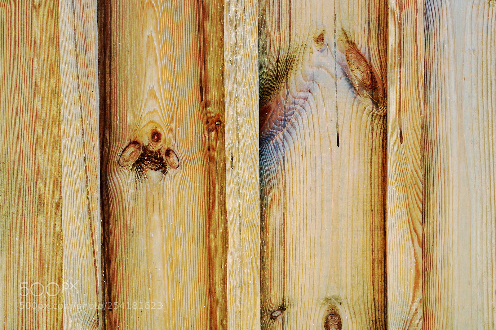 Canon EOS 750D (EOS Rebel T6i / EOS Kiss X8i) sample photo. Light wood texture background photography