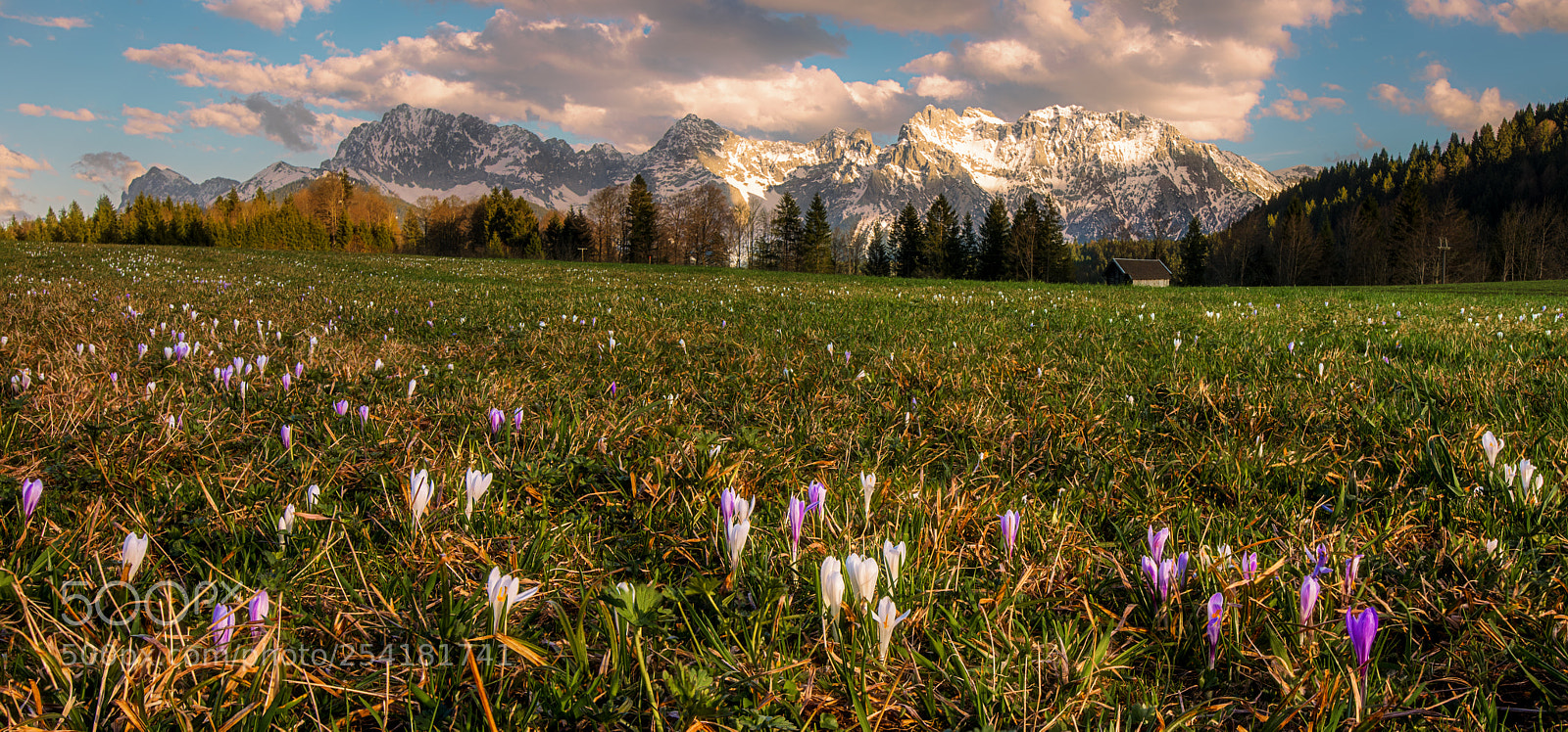 Nikon D810 sample photo. Spring photography