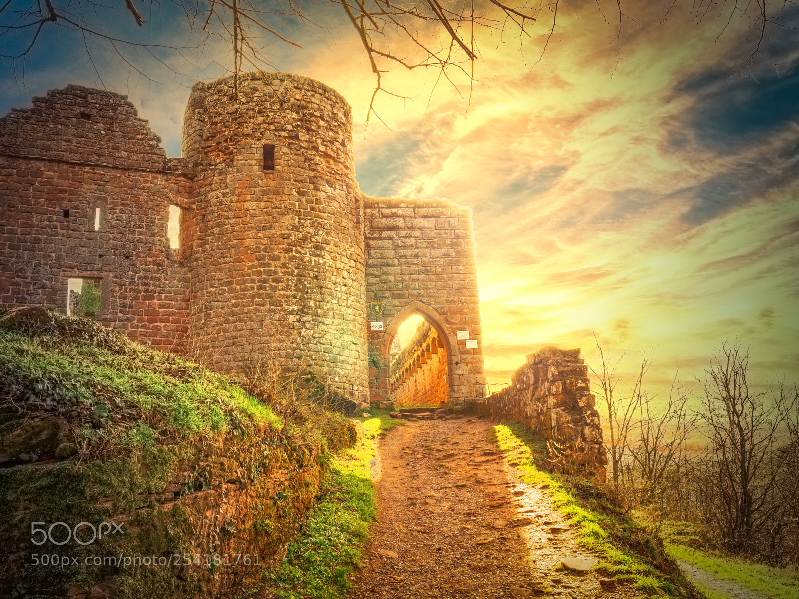 Panasonic Lumix DMC-GX8 sample photo. Burgruine in der morgensonne photography
