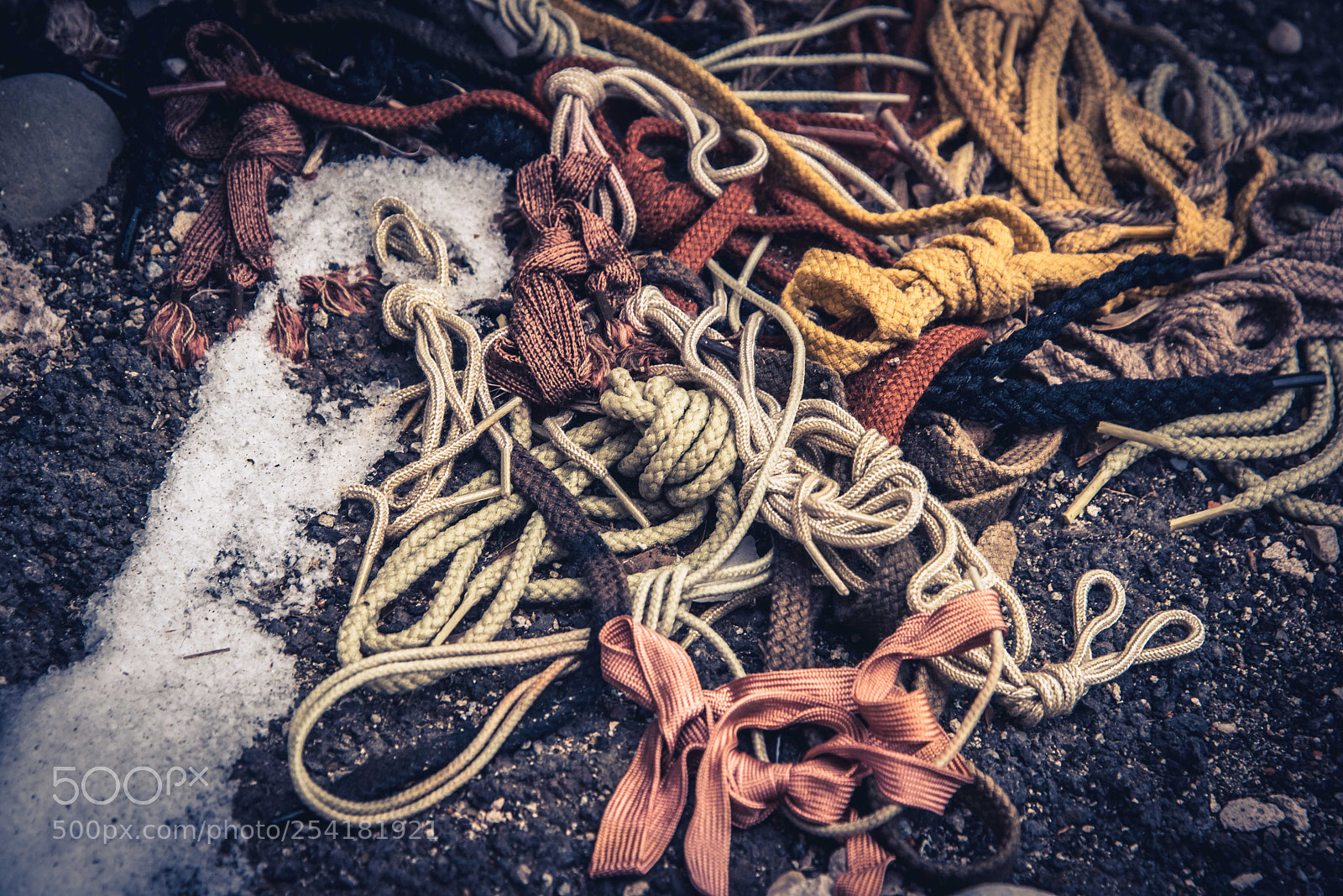 Nikon D810 sample photo. Shoelaces photography