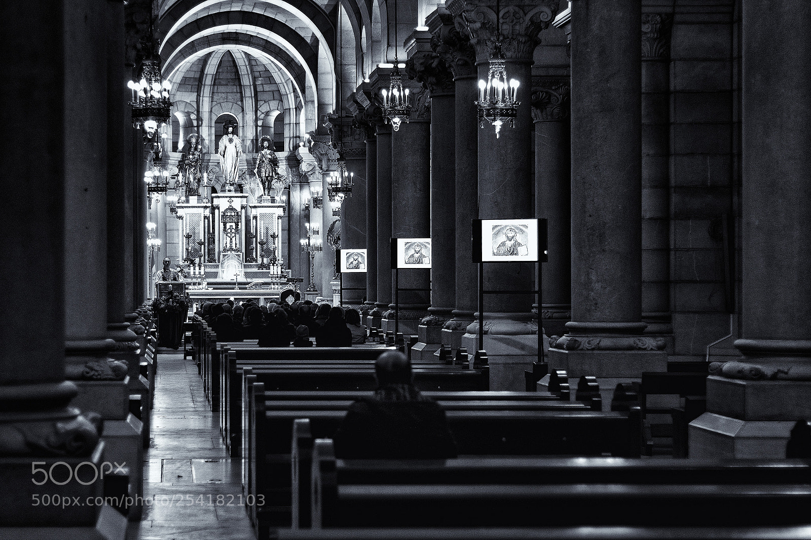 Canon EOS 50D sample photo. Alone photography