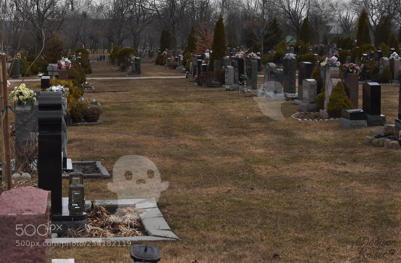 Nikon D3400 sample photo. Graveyard photography