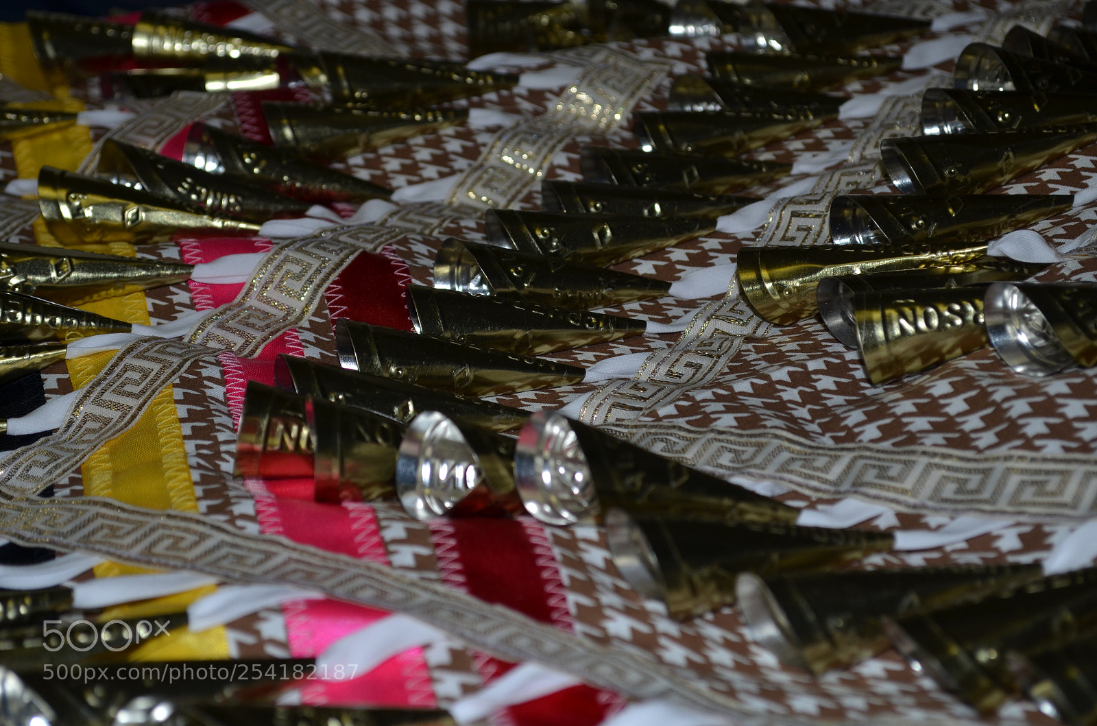 Nikon D5100 sample photo. Women's jingle dress photography