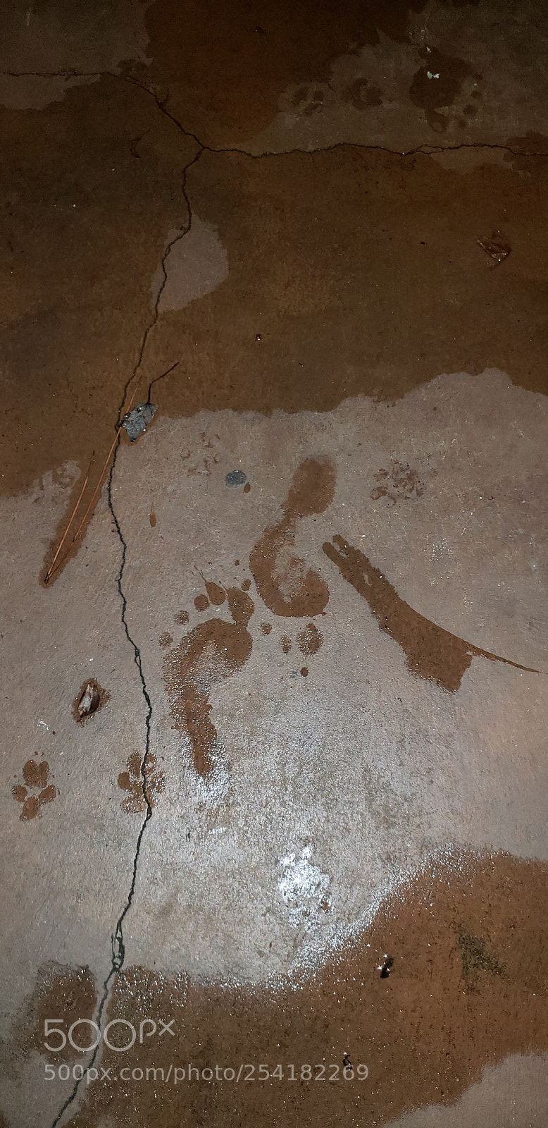 Samsung Galaxy S9+ sample photo. Foot prints photography