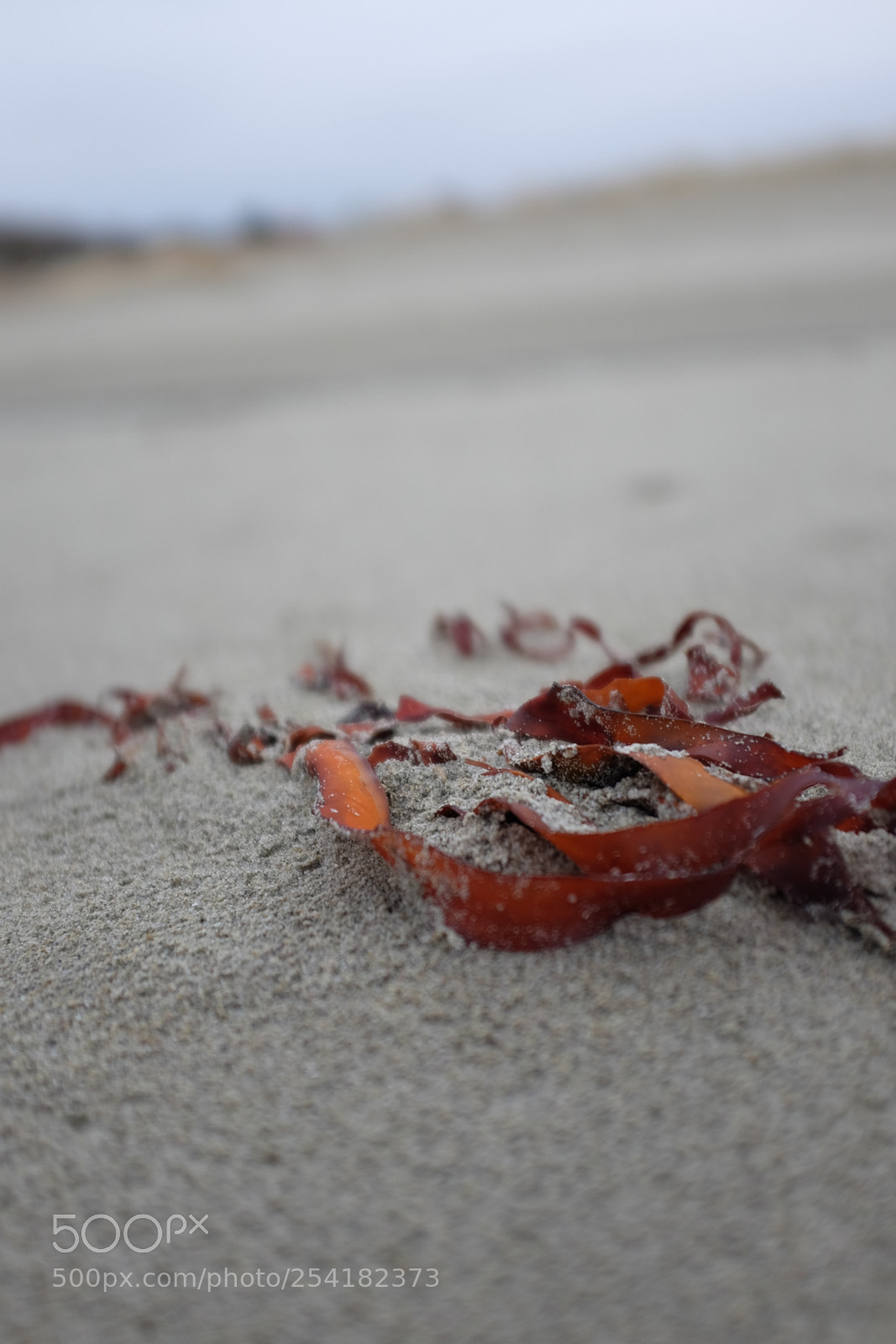 Fujifilm X100S sample photo. Beach photography