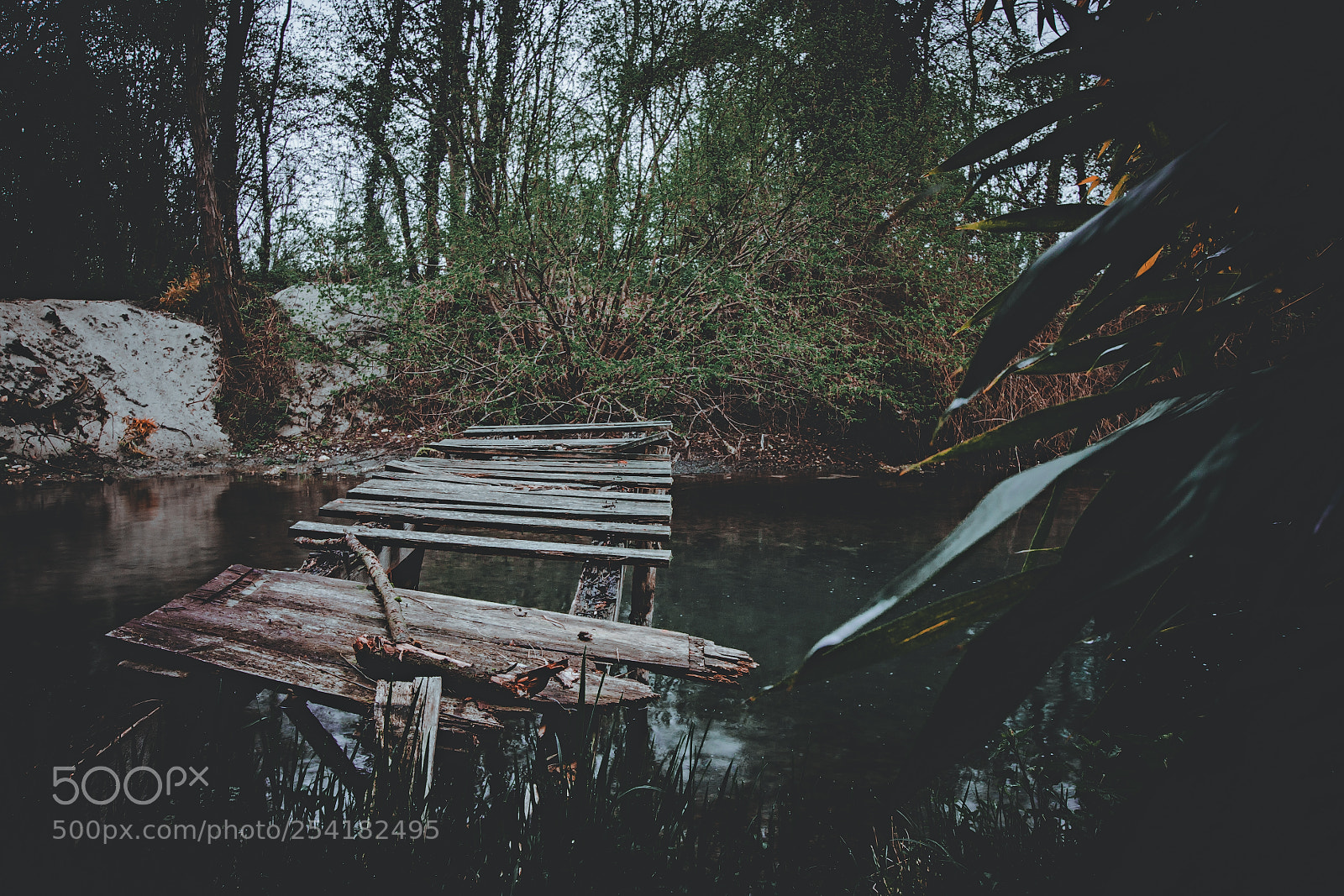 Canon EOS 40D sample photo. Abandoned dock pt 2 photography