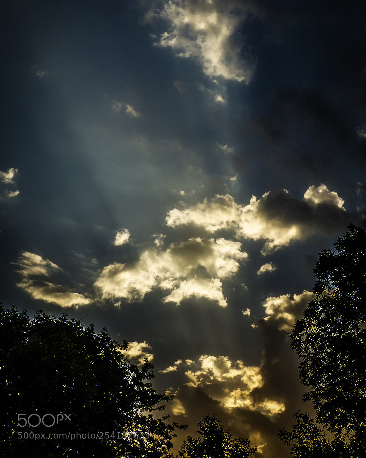 Panasonic Lumix DMC-FZ150 sample photo. Summer sunrise! photography
