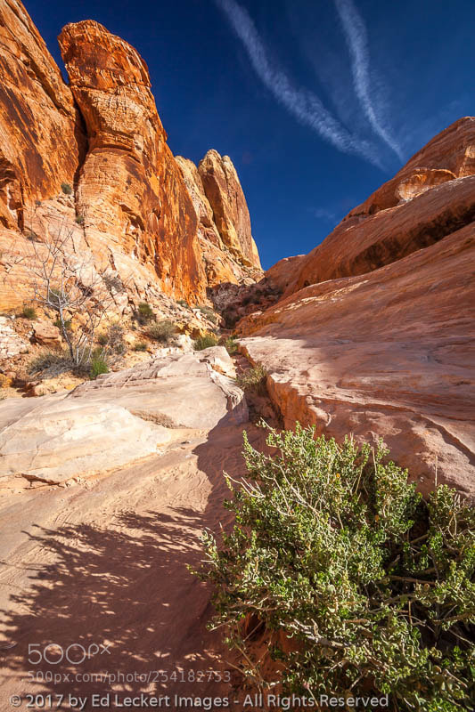 Canon EOS 5D Mark II sample photo. White dome trail, valley photography