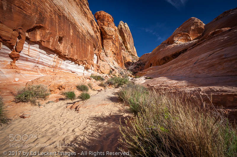 Canon EOS 5D Mark II sample photo. The white dome trail photography