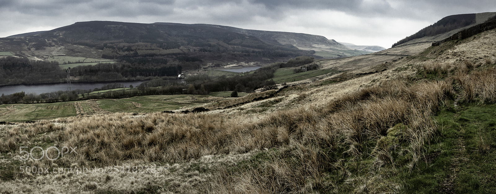 Canon EOS 5D Mark II sample photo. Rubbish day but a photography