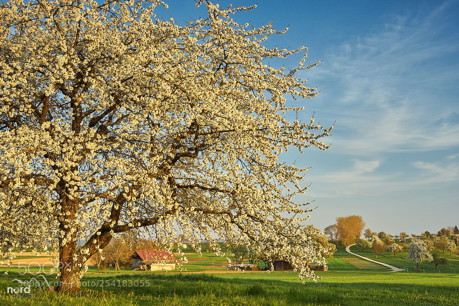 Sony ILCA-77M2 sample photo. Abend in giebel photography