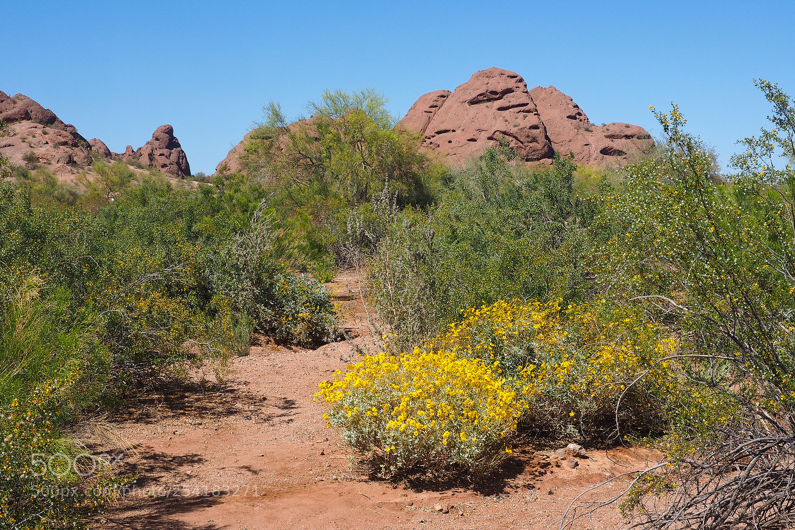 Olympus OM-D E-M10 sample photo. Papago park 01 photography
