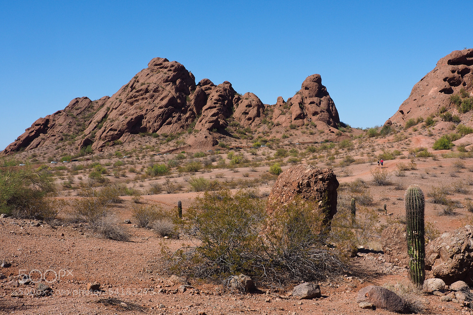 Olympus OM-D E-M10 sample photo. Papago park 02 photography