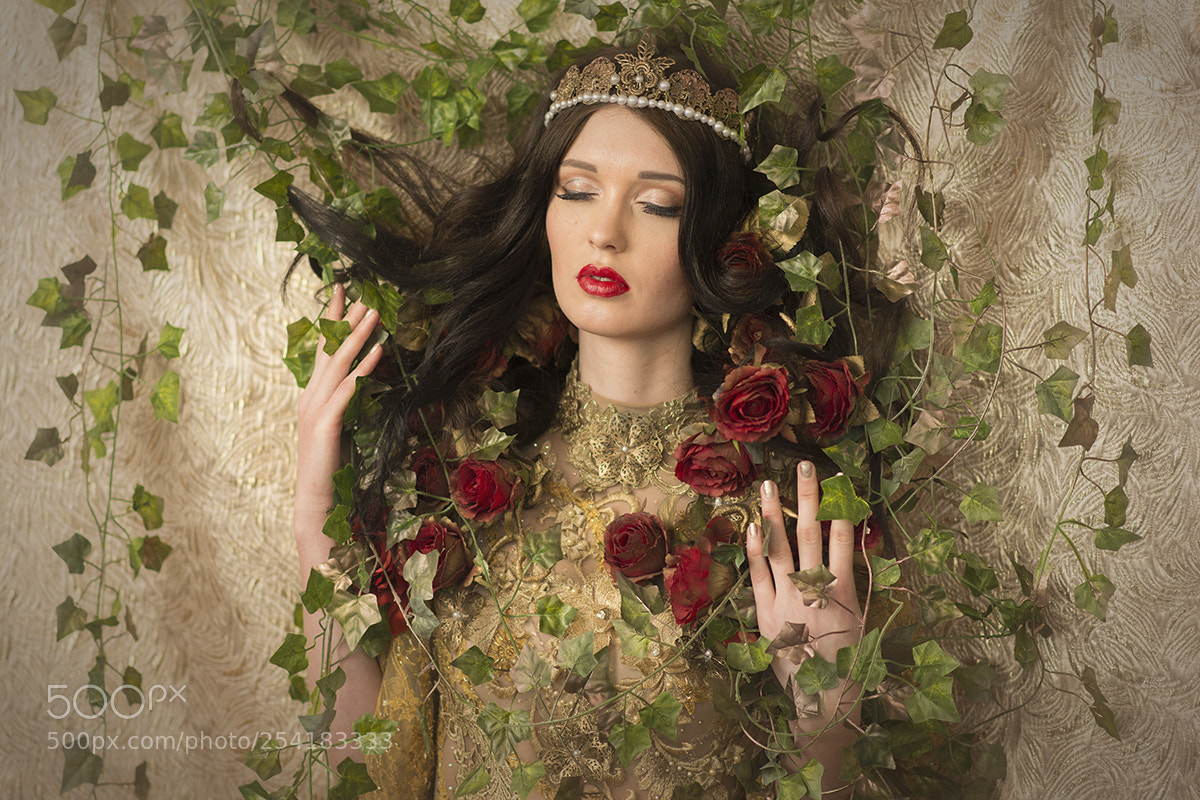 Nikon D800 sample photo. Rose-red photography
