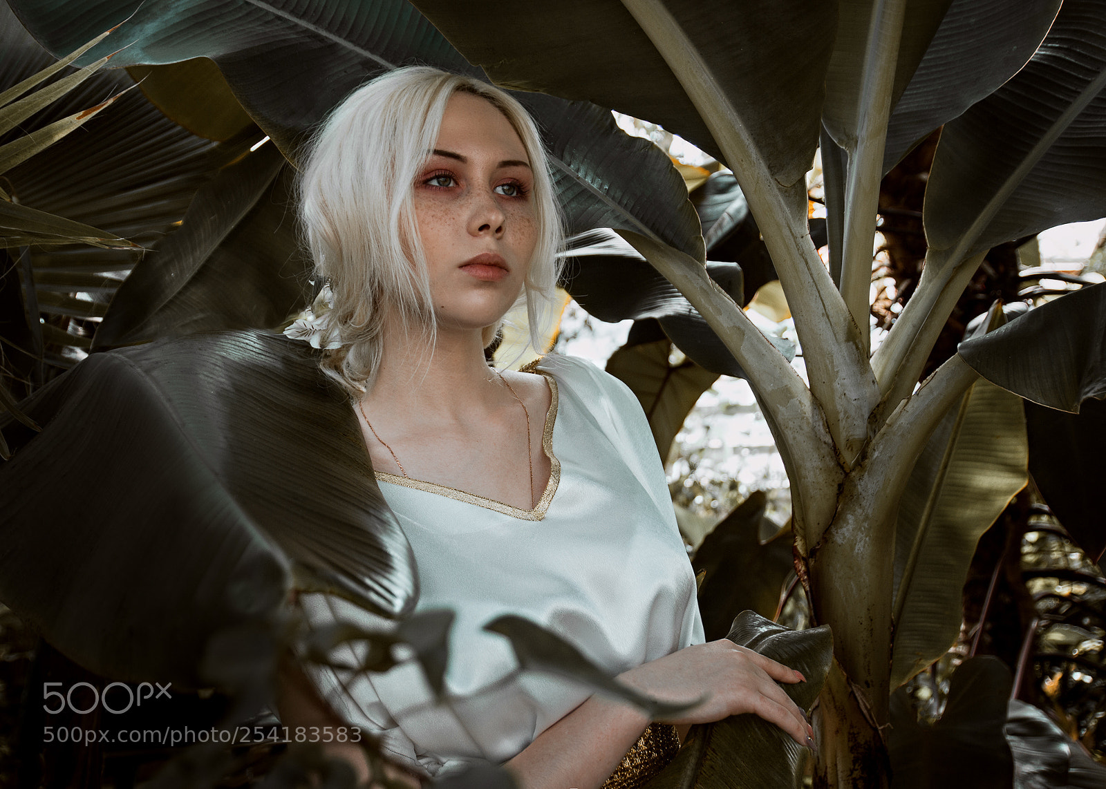Canon EOS 70D sample photo. Aphrodite photography