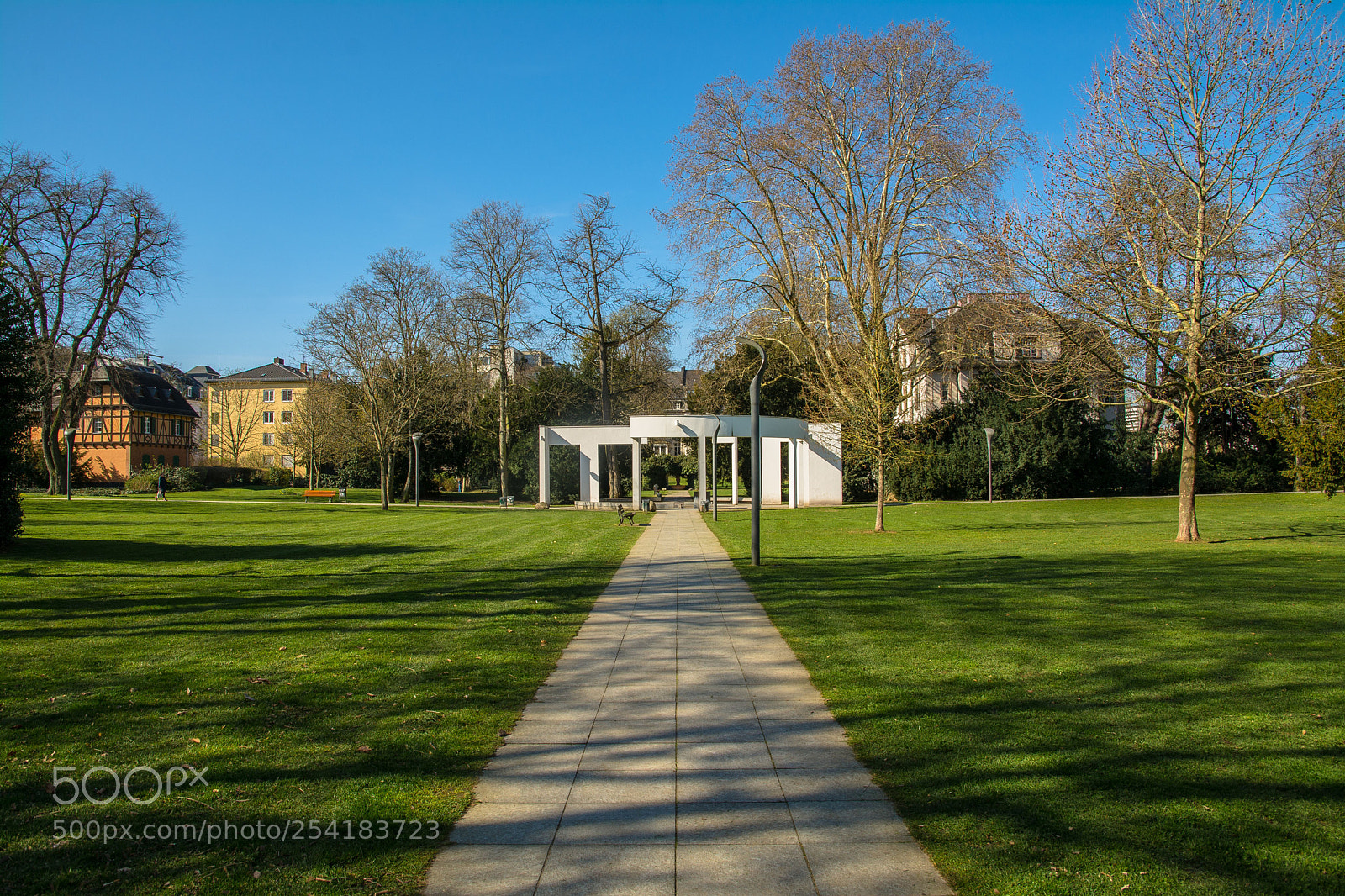 Nikon D7100 sample photo. Down in the park photography