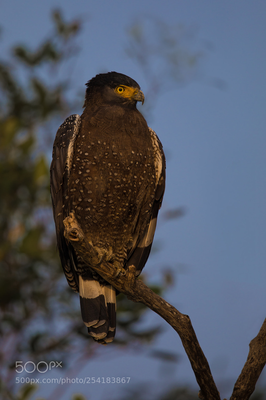 Canon EOS 5D Mark IV sample photo. Soaking up the morning photography
