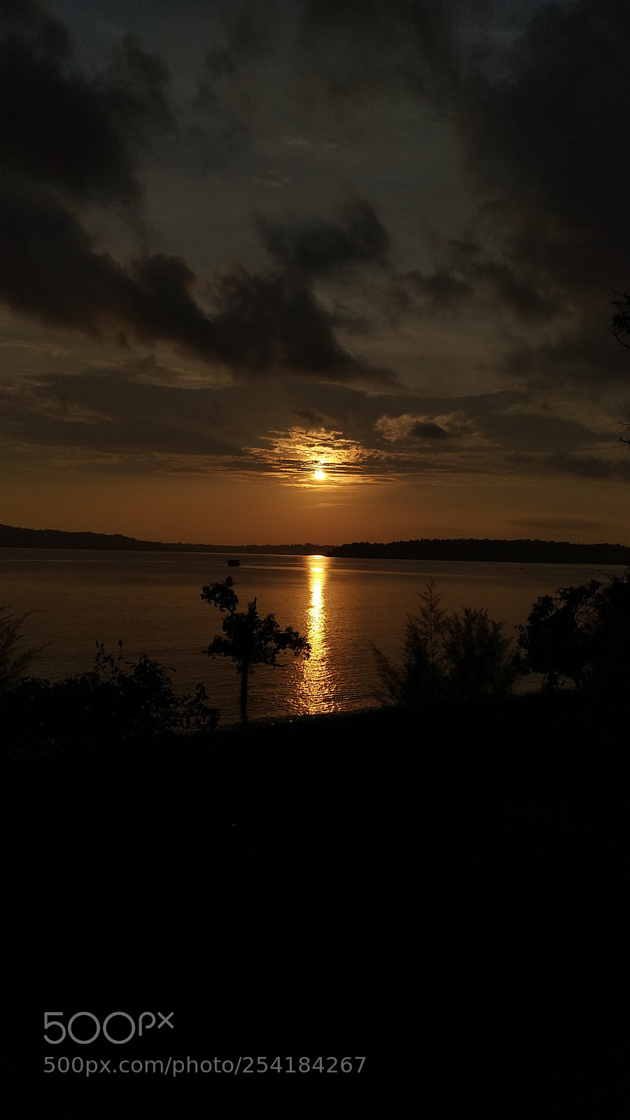 Xiaomi MI MAX 2 sample photo. Untitled photography