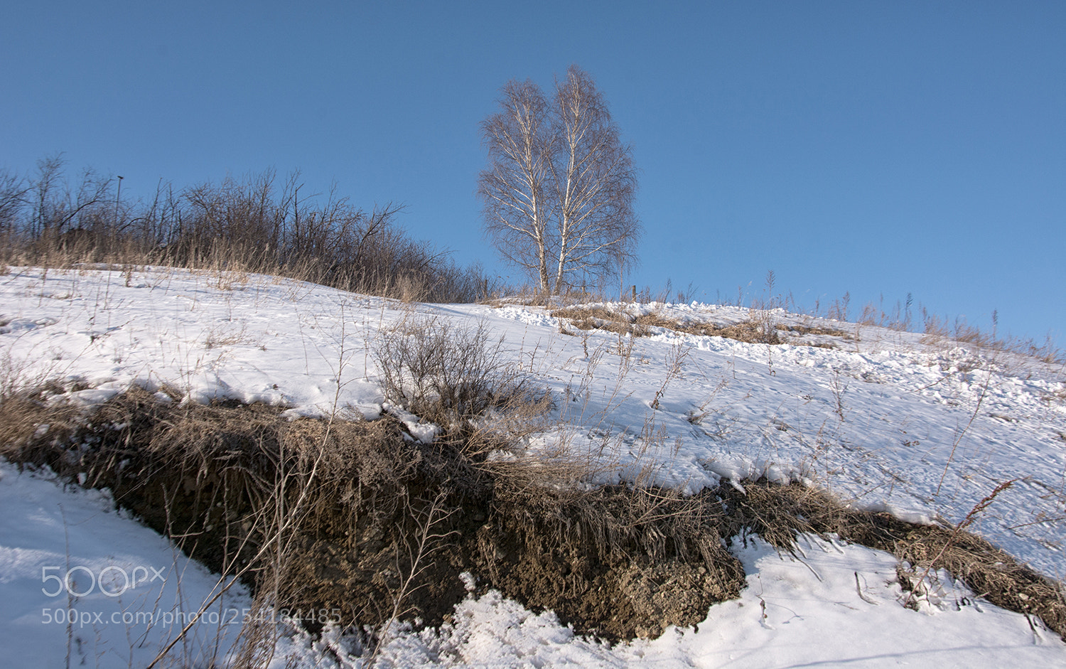 Nikon D7100 sample photo. Весенние этажи. photography
