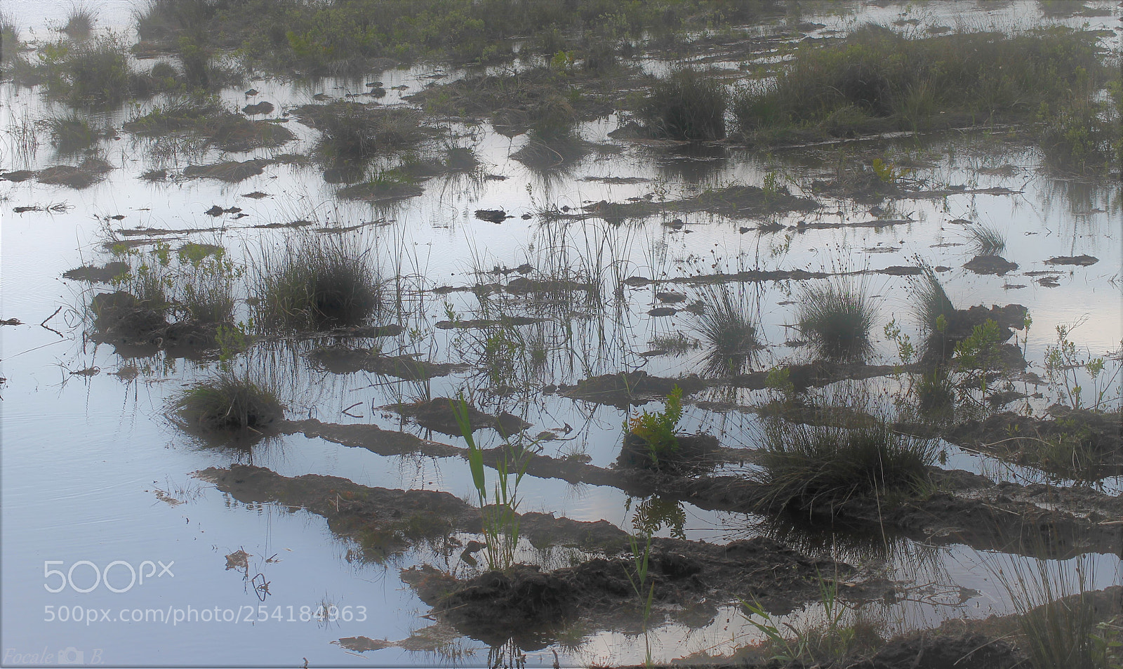 Canon EOS 1100D (EOS Rebel T3 / EOS Kiss X50) sample photo. Desolation in the mud photography