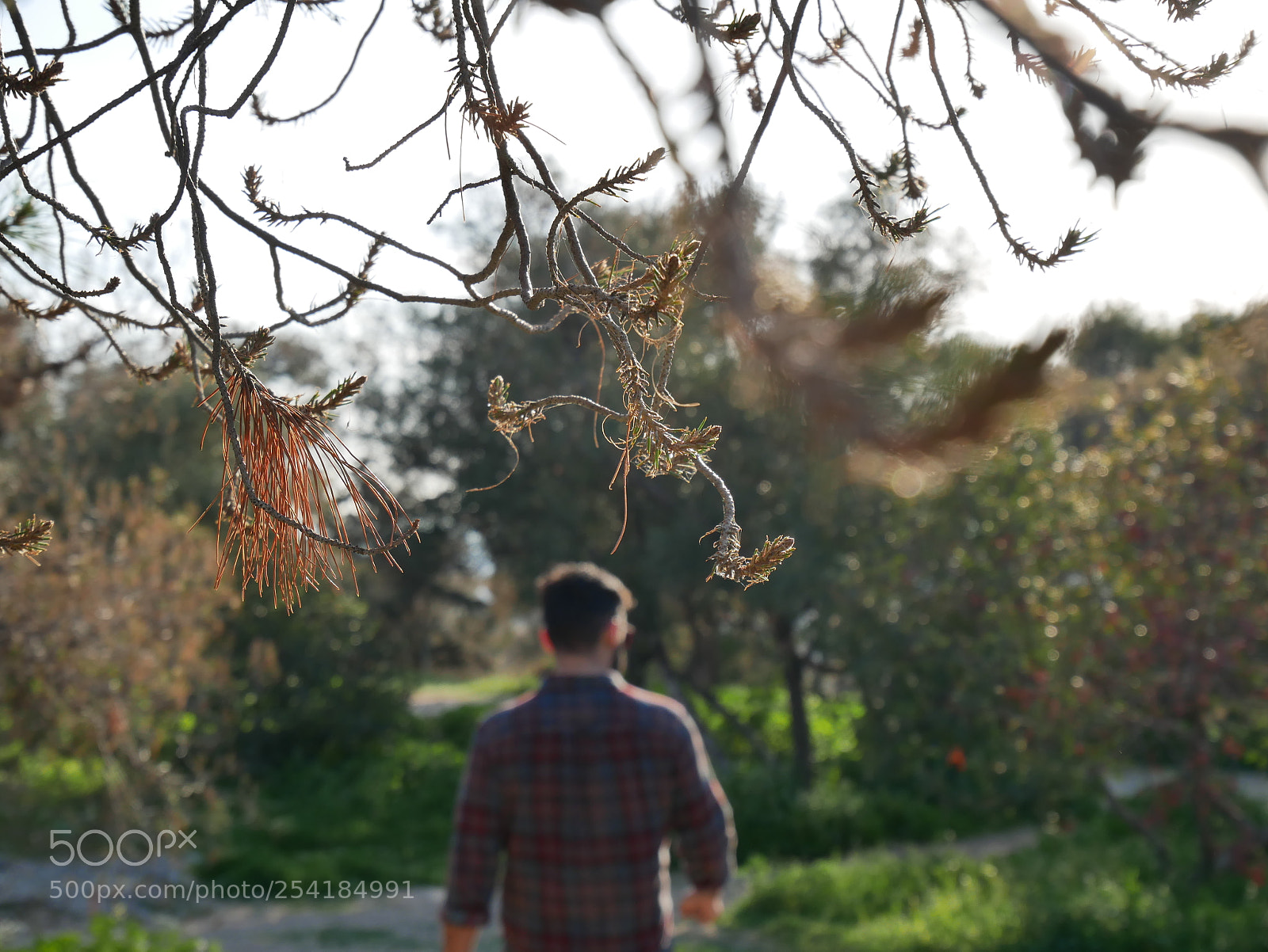 Panasonic Lumix DMC-GX85 (Lumix DMC-GX80 / Lumix DMC-GX7 Mark II) sample photo. Untitled photography