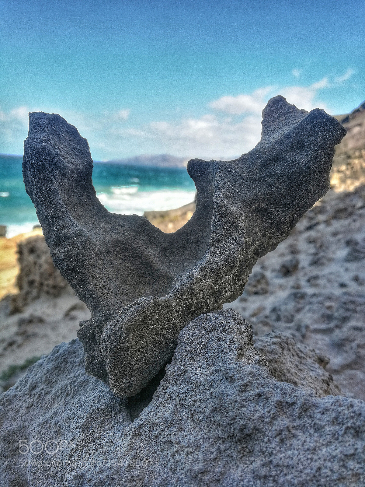 HUAWEI P10 sample photo. Untitled photography