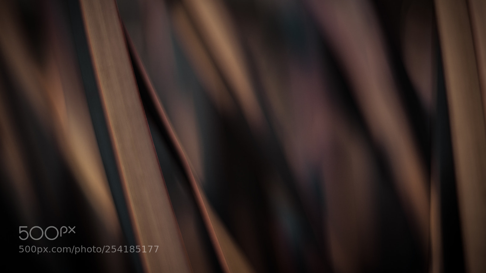 Sony a6300 sample photo. Leaves photography